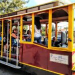 TLAQUEPAQUENSE DAY, Tram + Workshops + Gastronomy - Exploring the Historic and Cultural Stops