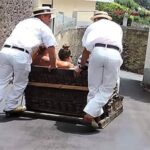 Toboggan Ride & Madeira Wine Tasting Tour - The Thrill of the Monte Toboggan Ride