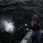 Tofino: Private Boat Tour with Big Tree Trail & Crabbing - Starting Point at Tofino Resort + Marina