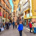 Toledo: Half-Day Private Minivan Tour from Madrid - The Luxury Mercedes V Minivan: Comfort and Style