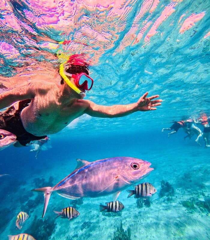 Top Experience: Snorkel & Beach Club All Inclusive / Open Bar & Lunch - Convenient Location at Calle Cherna in Mahahual