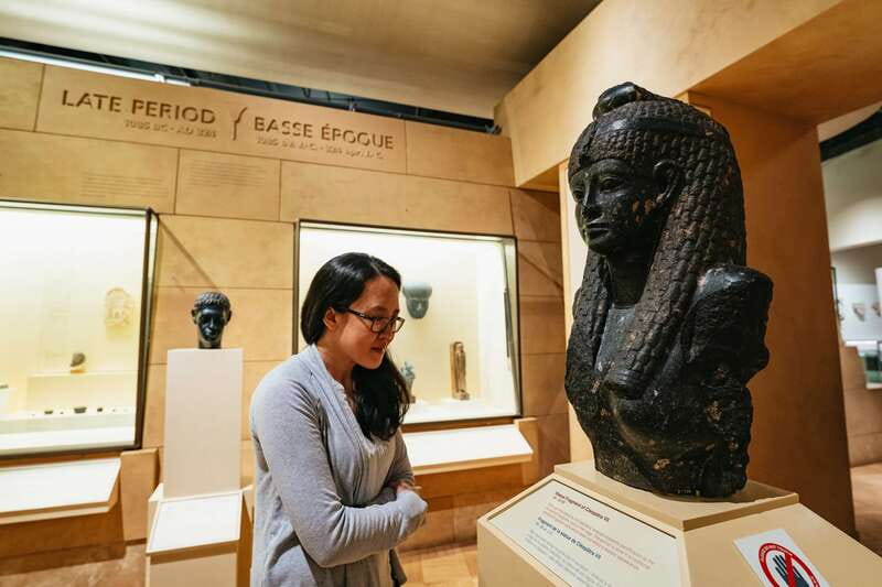 Toronto: Royal Ontario Museum Admission Ticket - Easy Access and Check-In at Weston Queens Park Entrances