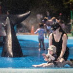 Toronto: Toronto Zoo Entry Ticket - Practical Information for Planning Your Visit