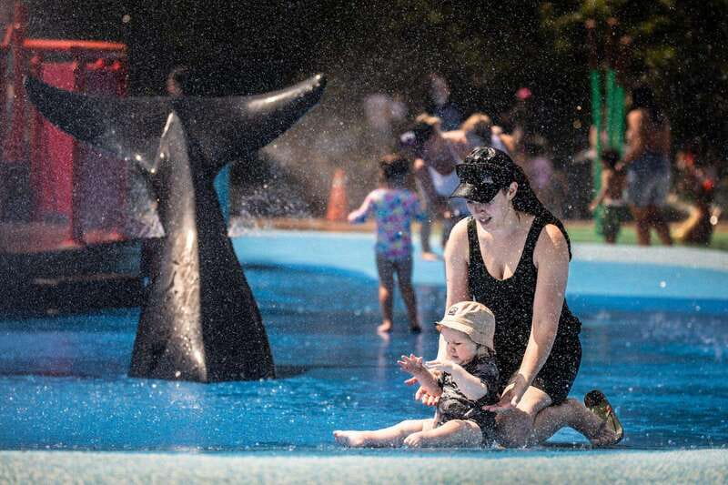 Toronto: Toronto Zoo Entry Ticket - Practical Information for Planning Your Visit