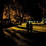 Torrid Tales True Crime Walking Tour of St Augustine - Meeting Point and Tour Logistics in St. Augustine