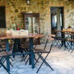 Total Immersion Experience Italian version - Exploring the Vineyard and Biological Agriculture