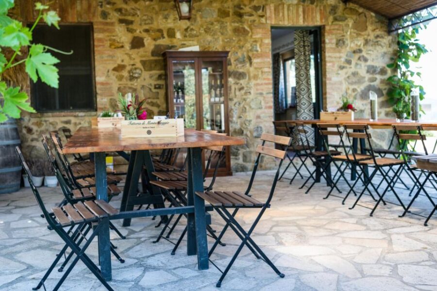 Total Immersion Experience Italian version - Exploring the Vineyard and Biological Agriculture