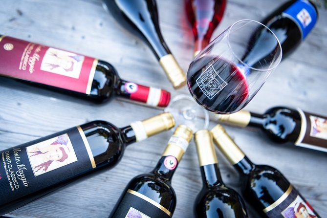 Tour and Tasting at an Organic Winery in the Heart of Chianti Classico Area - Tour of the Vineyard and Organic Practices