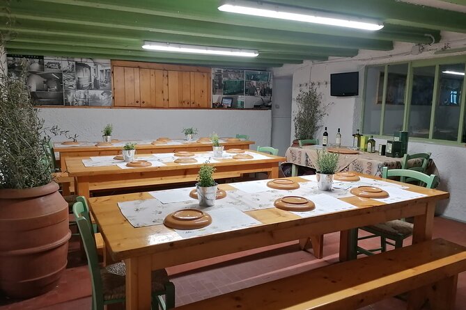 TOUR and TICKETS, VISIT TO THE MILL AND EVO OIL TASTING - Inside the Mill: Learning About Olive Oil Production