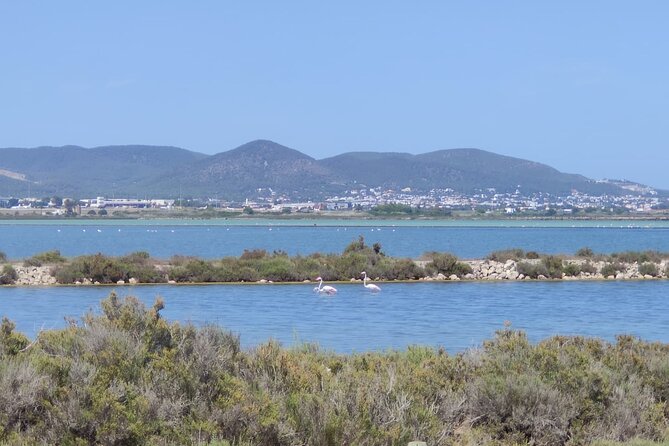 TOUR around the JEWELS of IBIZA SALT BEDS, ES VEDRA, TIME & SPACE - Exploring Ibiza’s Salt Ponds of Ses Salines