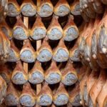 Tour at a Parma Ham Producer - Tasting Prosciutto di Parma and Local Wines