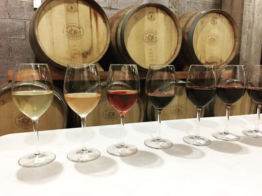 Tour+ Cata 3 vinos / Tour + 3 wine tasting - Guided Tasting: Learning from an Expert Sommelier