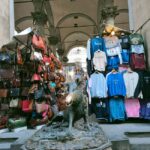 Tour: city tour of Florence through its main attractions - Starting Point at Caffè Scudieri in Piazza San Giovanni