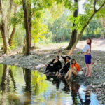 Tour en ATV Cuatrimotos + Guía + Traslados - Discover the 20-Kilometer ATV Caravan Route
