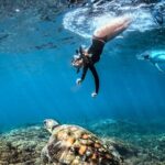 Tour Full Day Guided Huatulco Bays + Pickup + Refreshments + Gift !! - Snorkeling at Chachacual Bay