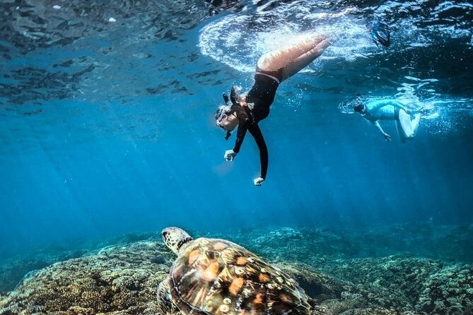 Tour Full Day Guided Huatulco Bays + Pickup + Refreshments + Gift !! - Snorkeling at Chachacual Bay