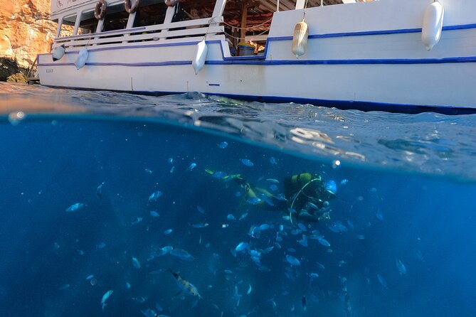 Tour in Alanya with Lunch and Guided Scuba Dives from Side - Convenient Hotel Pickup and Easy Transfers in Side