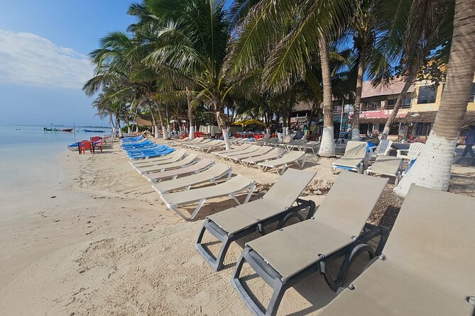 Tour in the Hacienda del Tequila - Visiting Xteme Gotcha: Mayan Jungle Paintball (Optional)