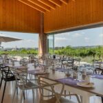 Tour in Valpolicella: wine, oil, and peach tasting - Visiting the 100-Year-Old Vineyards