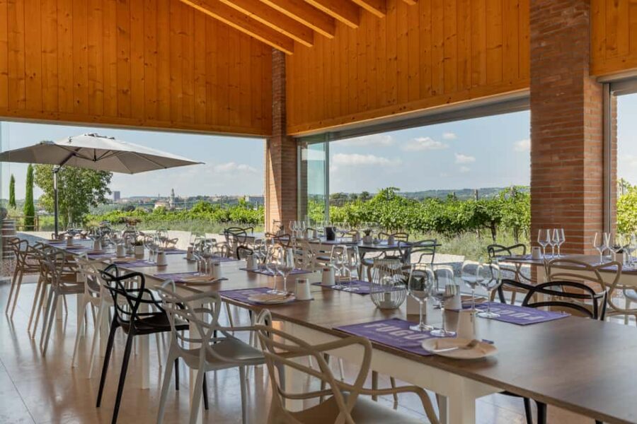 Tour in Valpolicella: wine, oil, and peach tasting - Visiting the 100-Year-Old Vineyards