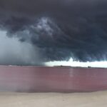 Tour Las Coloradas - Rio Lagartos Biosphere Reserve: A Haven for Wildlife