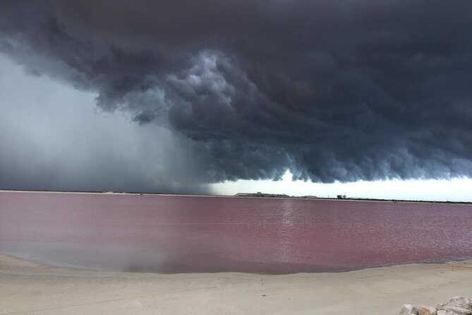 Tour Las Coloradas - Rio Lagartos Biosphere Reserve: A Haven for Wildlife