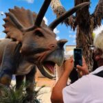 TOUR "Museo del Desierto" + Traslados + Tickets incluidos - Discovering the Desert Museum of Saltillo