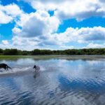 Tour Nature & Wildlife from Cagliari - Scenic Drive through the Campidano Plain