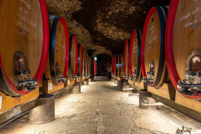 Tour of 900year old secret cellars + tasting of 3 wines and bread with EVO oil - Inside the Ancient Cellars of Castello del Trebbio