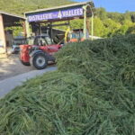 Tour of a family-run lavender essential oil distillery - Location and Access to a Family-Operated Lavender Distillery