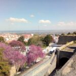 Tour of Arrábida and beautiful landscapes and wine tasting - A Walk Through Setúbal’s Livramento Market