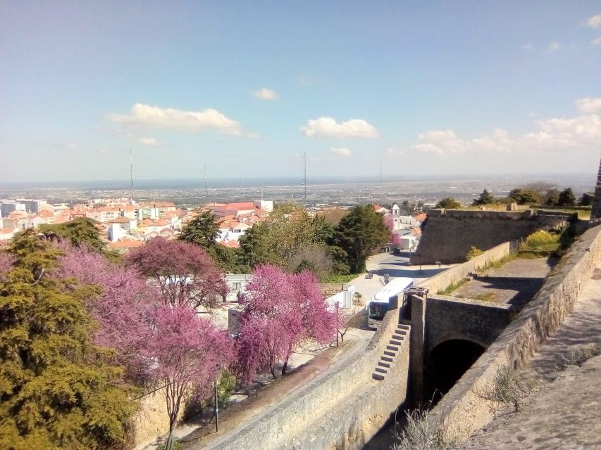 Tour of Arrábida and beautiful landscapes and wine tasting - A Walk Through Setúbal’s Livramento Market