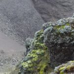 Tour Positano & Sorrento with a lunch stop - Free Time to Explore Positano and Sorrento