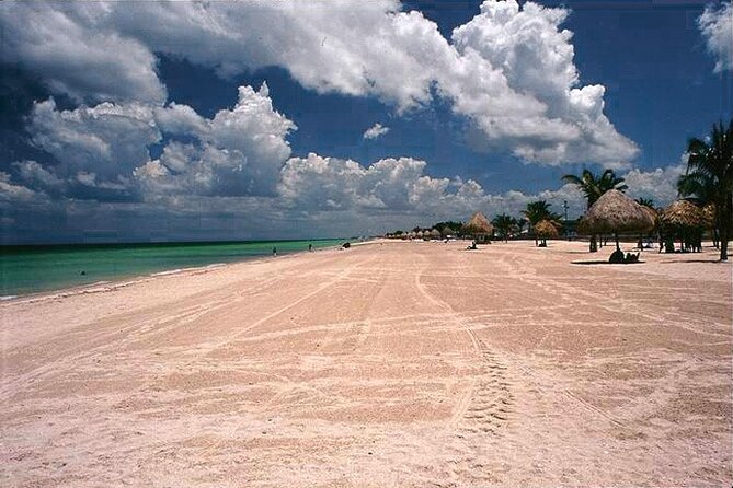 Tour to Celestun and see the flamingos - Enjoy Free Time in Celestun’s Coastal Town and Beaches