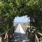 Tour to Cozumel Eco Nature Escape and Otoch Mayan Experience - Climbing the Celarain Lighthouse for Panoramic Views