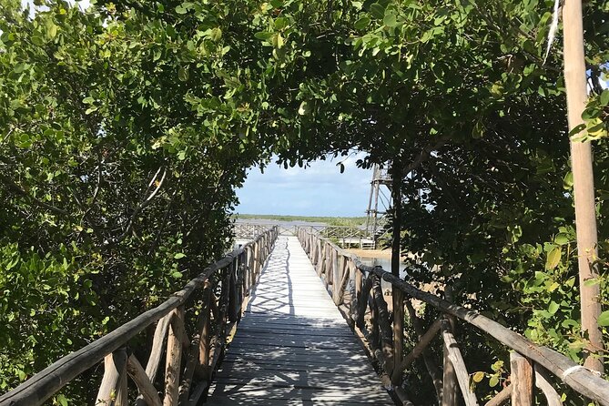 Tour to Cozumel Eco Nature Escape and Otoch Mayan Experience - Climbing the Celarain Lighthouse for Panoramic Views