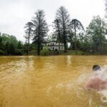 Tour to Furnas and Terra Nostra Garden - full day - Exploring the Geothermal Wonders of Furnas