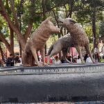 Tour to Xochimilco and Coyoacan and Frida Khalo - Visiting Frida Kahlo’s Museum – The Casa Azul