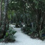 Tour Tulum, Coba, Cenote & Playa del Carmen 4x1 only from Playa del Carmen - Starting the Day with the Tulum Archaeological Site