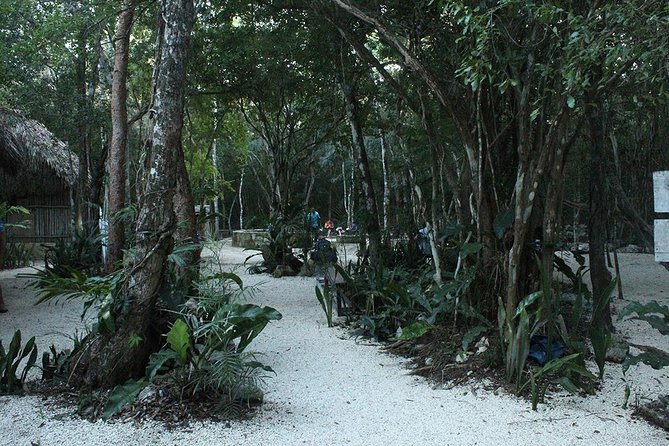 Tour Tulum, Coba, Cenote & Playa del Carmen 4x1 only from Playa del Carmen - Starting the Day with the Tulum Archaeological Site