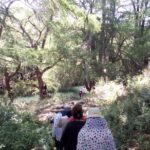Tour Visiting the Malpais - Exploring Cascada El Saltito: A Movie-Famous Waterfall