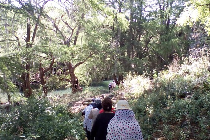Tour Visiting the Malpais - Exploring Cascada El Saltito: A Movie-Famous Waterfall