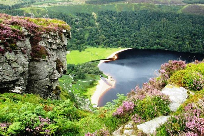 Tour Wicklow Mountains National Park in a limo with private guide - Driving Through the Wicklow Mountains National Park
