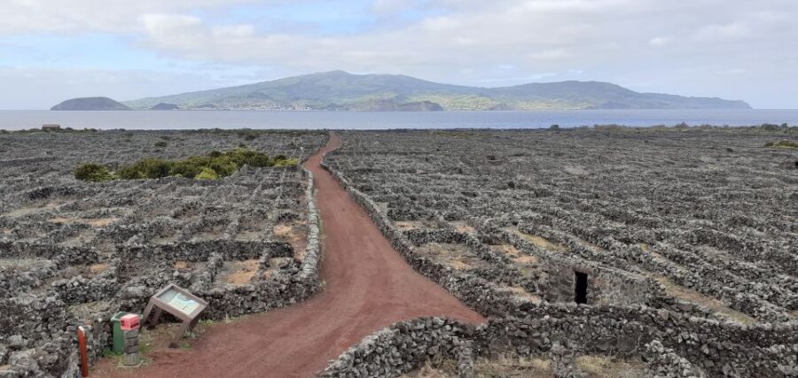 Tours on Pico Island - Cultural and Natural Landscape - Visiting the Lagoa do Capitão and Endemic Vegetation