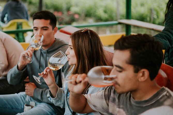 Tractor Pull Around Vineyards and Wine Tasting Tour - The Tractor Pull Experience: A Gentle Off-Road Journey