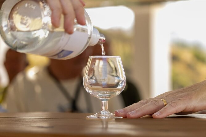 Traditional Greek COOKING class and Wine Tasting in Rhodes - Tasting Greek Wines at the Outdoor Bar