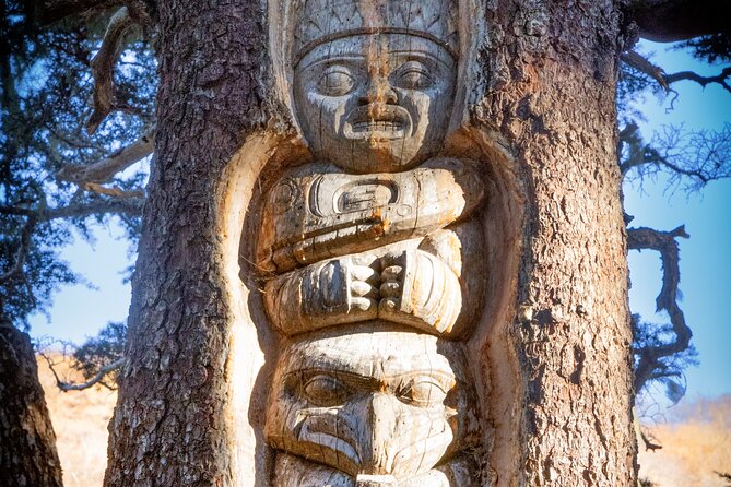 Trails and Ale Tour and Tram Combo - Starting Point at the Goldbelt Tram in Juneau