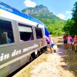 Train Experience Through The Alps (Full Day) - Lunch Options: Traditional Picnic or Fine Dining