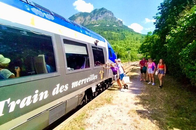 Train Experience Through The Alps (Full Day) - Lunch Options: Traditional Picnic or Fine Dining