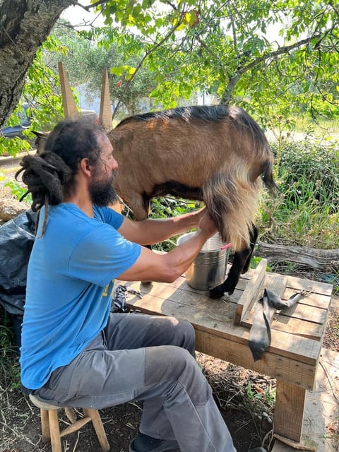 Trancoso: Farm eco-Tour with Tasting - Starting at Cogula: Easy to Find and Arrive